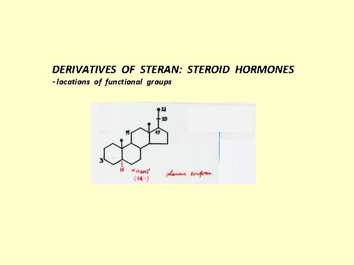 DERIVATIVES OF STERAN: STEROID HORMONES - locations of functional groups 