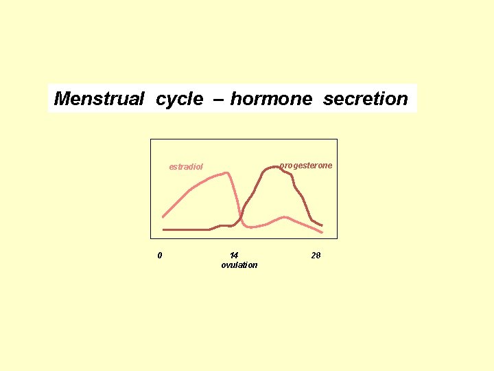 Menstrual cycle – hormone secretion progesterone estradiol 0 14 ovulation 28 