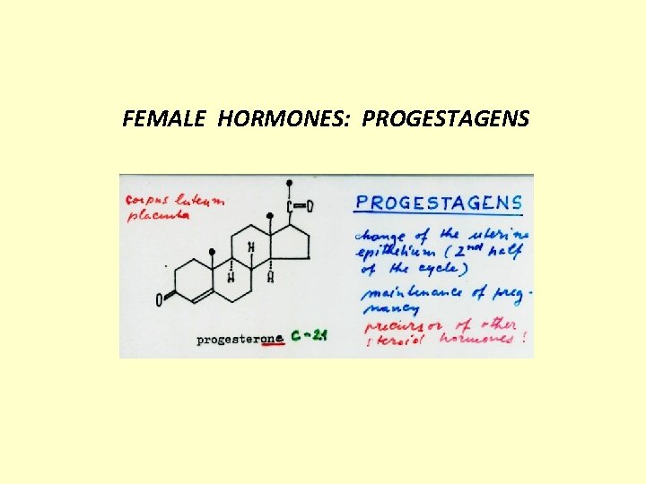 FEMALE HORMONES: PROGESTAGENS 