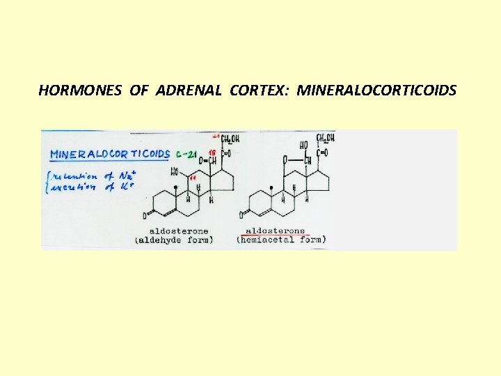 HORMONES OF ADRENAL CORTEX: MINERALOCORTICOIDS 