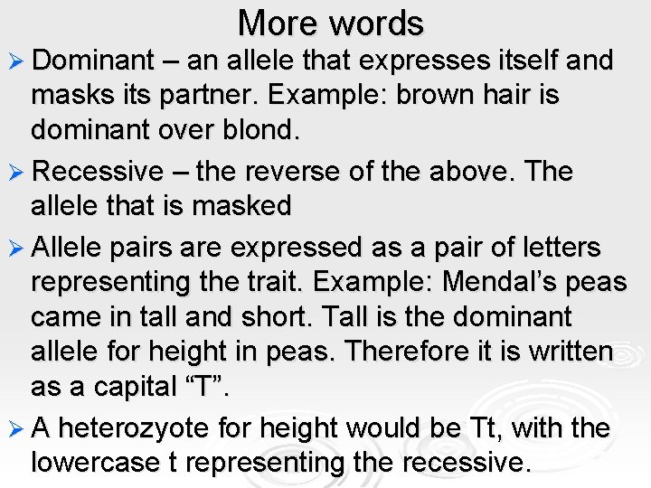 More words Ø Dominant – an allele that expresses itself and masks its partner. More words Ø Dominant – an allele that expresses itself and masks its partner.