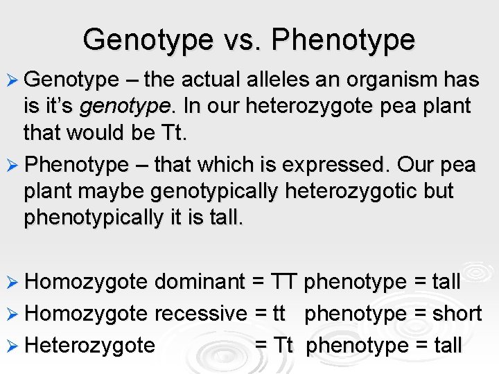 Genotype vs. Phenotype Ø Genotype – the actual alleles an organism has is it’s Genotype vs. Phenotype Ø Genotype – the actual alleles an organism has is it’s