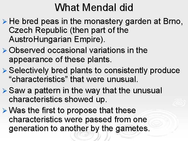 What Mendal did Ø He bred peas in the monastery garden at Brno, Czech What Mendal did Ø He bred peas in the monastery garden at Brno, Czech