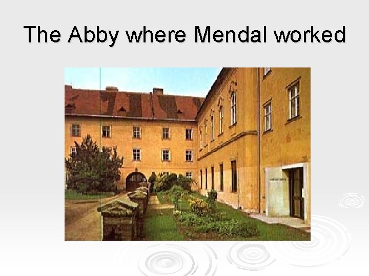 The Abby where Mendal worked The Abby where Mendal worked