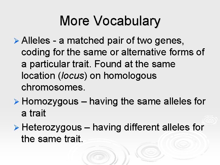 More Vocabulary Ø Alleles - a matched pair of two genes, coding for the More Vocabulary Ø Alleles - a matched pair of two genes, coding for the