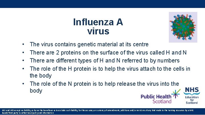 Influenza A virus • • The virus contains genetic material at its centre There