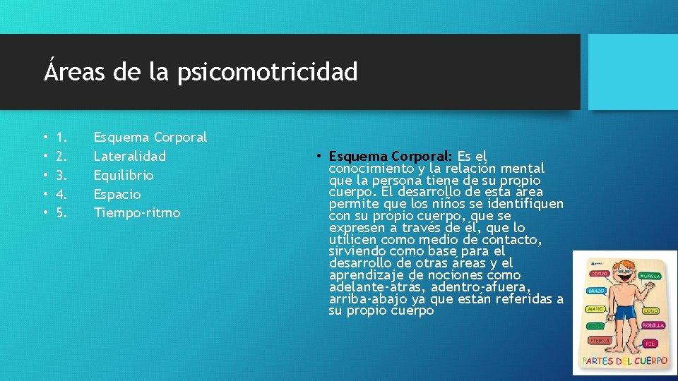 Áreas de la psicomotricidad • • • 1. 2. 3. 4. 5. Esquema Corporal