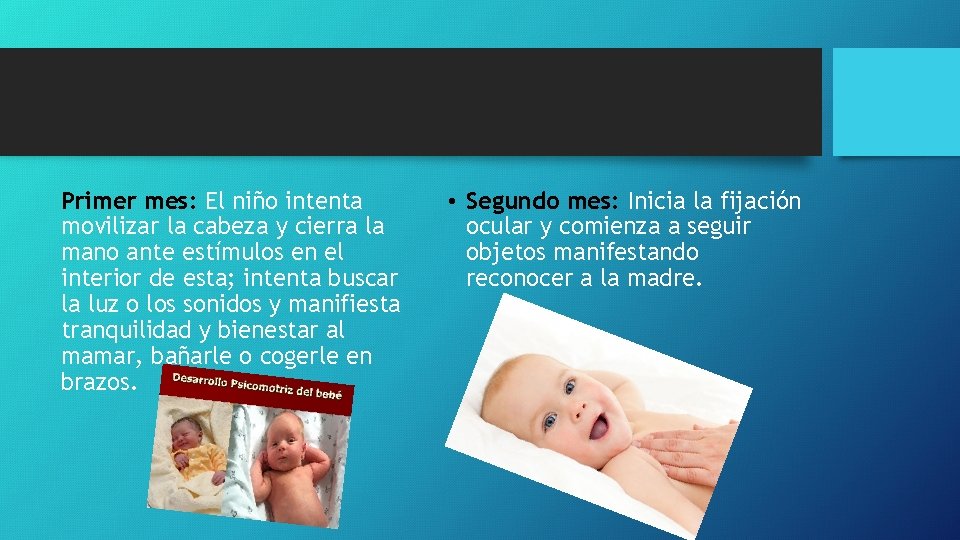 Primer mes: El niño intenta movilizar la cabeza y cierra la mano ante estímulos