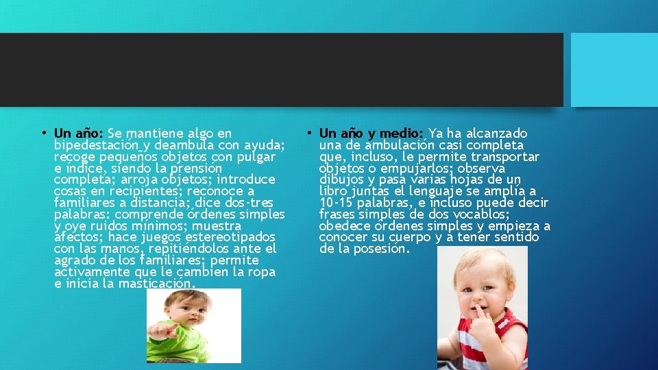  • Un año: Se mantiene algo en bipedestación y deambula con ayuda; recoge