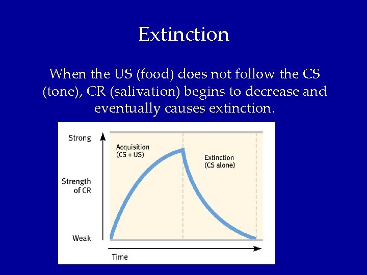 Extinction When the US (food) does not follow the CS (tone), CR (salivation) begins