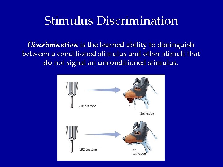 Stimulus Discrimination is the learned ability to distinguish between a conditioned stimulus and other