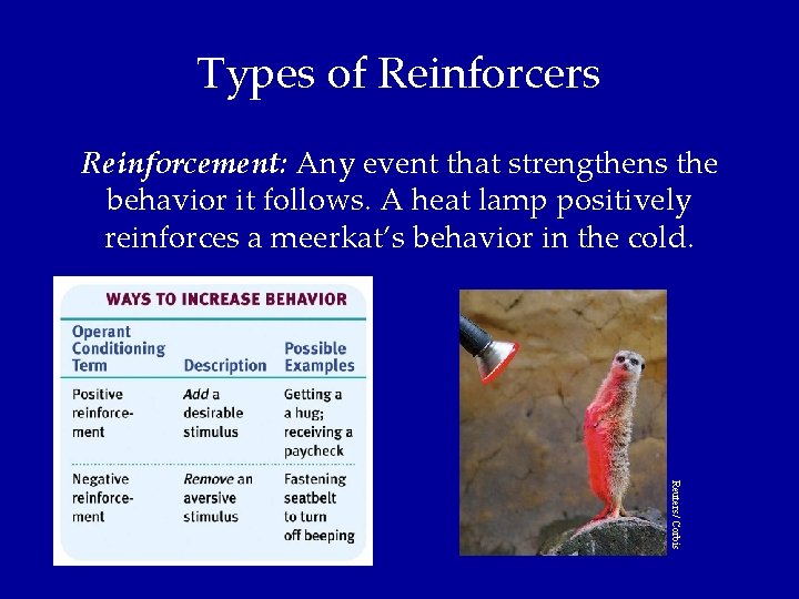 Types of Reinforcers Reinforcement: Any event that strengthens the behavior it follows. A heat