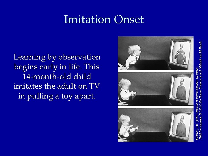 Learning by observation begins early in life. This 14 -month-old child imitates the adult