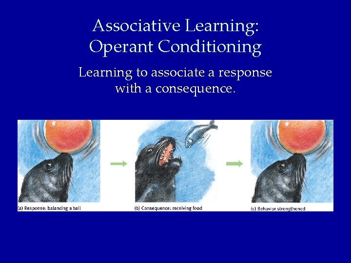Associative Learning: Operant Conditioning Learning to associate a response with a consequence. 