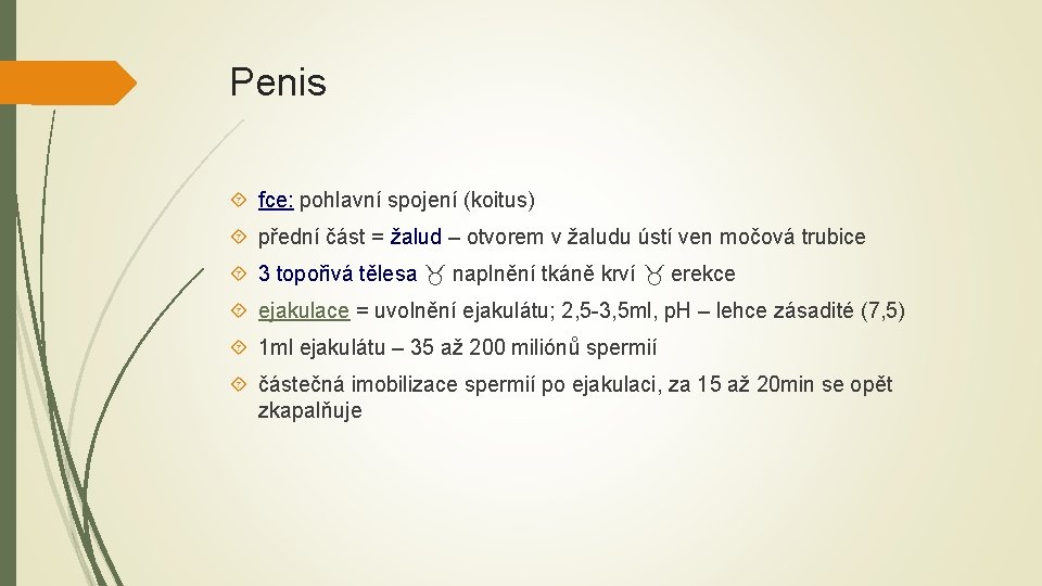 Penis fce: pohlavní spojení (koitus) přední část = žalud – otvorem v žaludu ústí