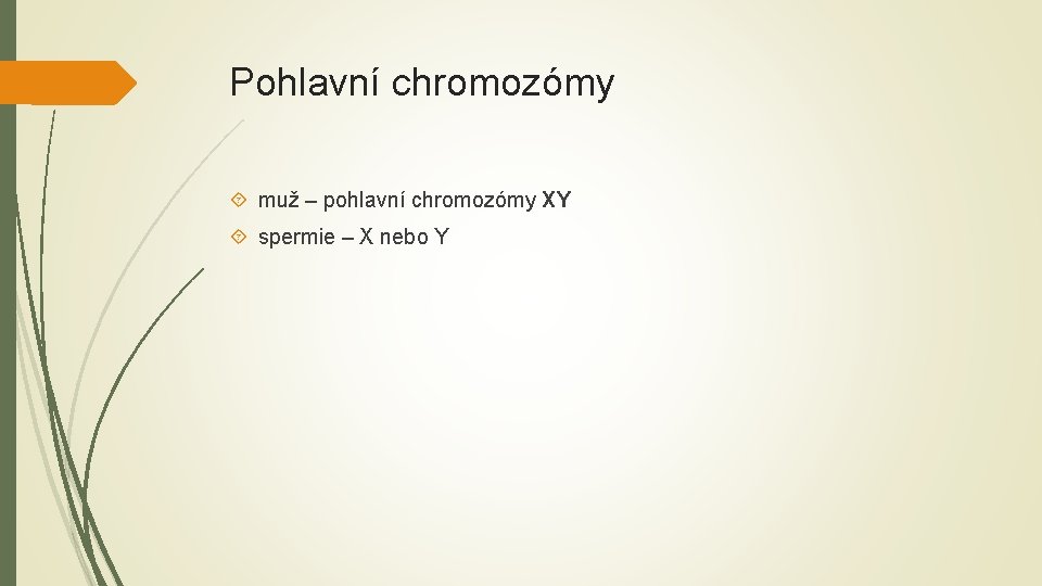 Pohlavní chromozómy muž – pohlavní chromozómy XY spermie – X nebo Y 