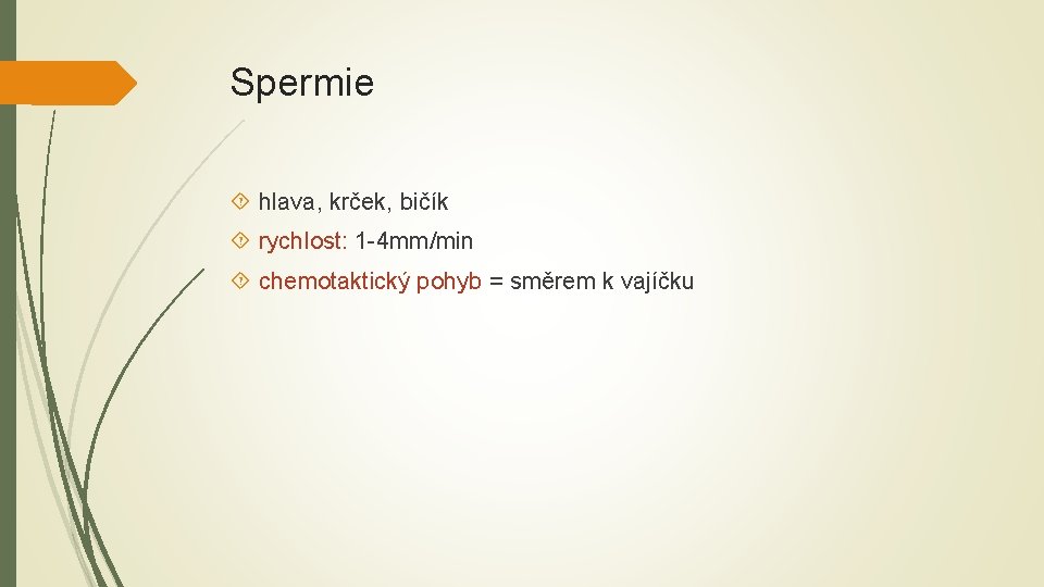 Spermie hlava, krček, bičík rychlost: 1 -4 mm/min chemotaktický pohyb = směrem k vajíčku