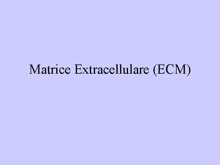 Matrice Extracellulare (ECM) 