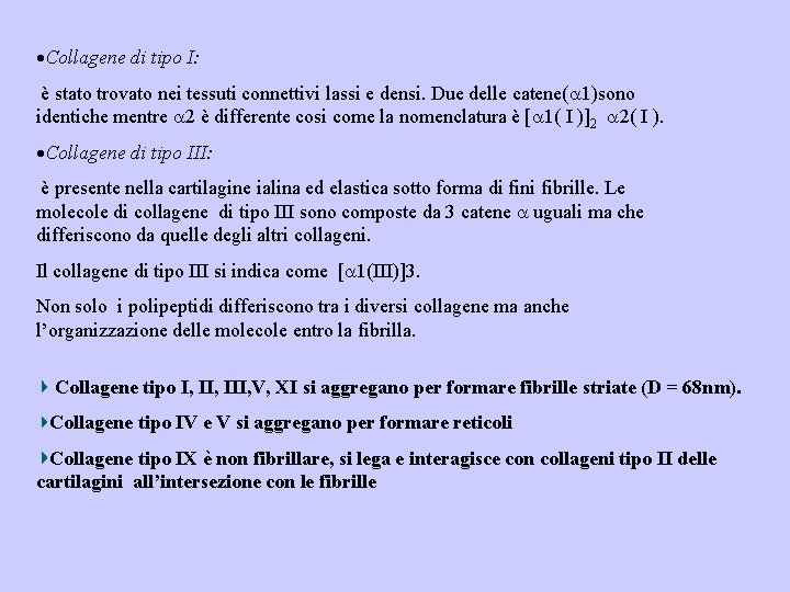  Collagene di tipo I: è stato trovato nei tessuti connettivi lassi e densi.