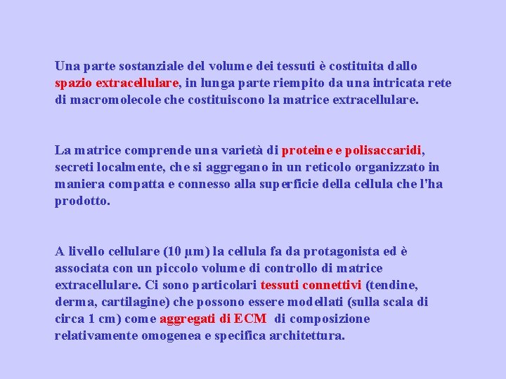 Una parte sostanziale del volume dei tessuti è costituita dallo spazio extracellulare, in lunga