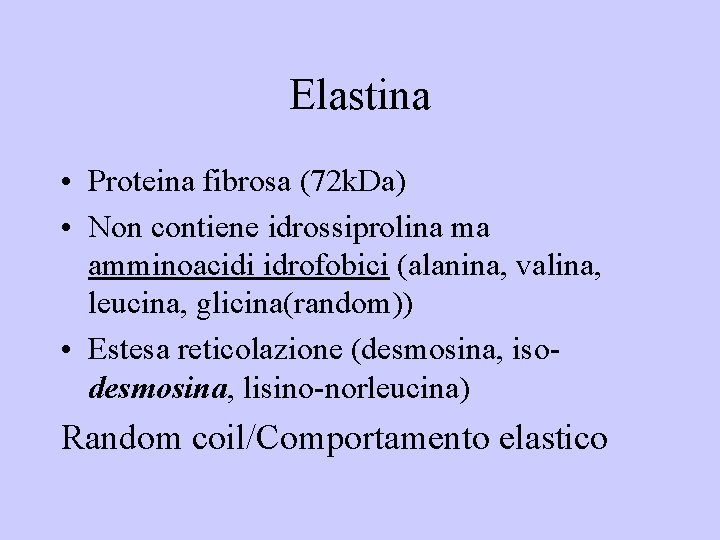 Elastina • Proteina fibrosa (72 k. Da) • Non contiene idrossiprolina ma amminoacidi idrofobici