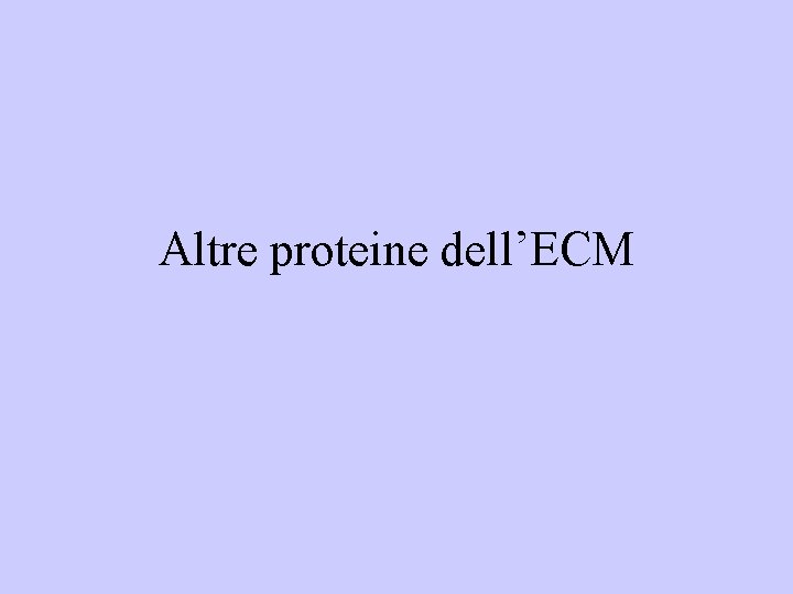 Altre proteine dell’ECM 