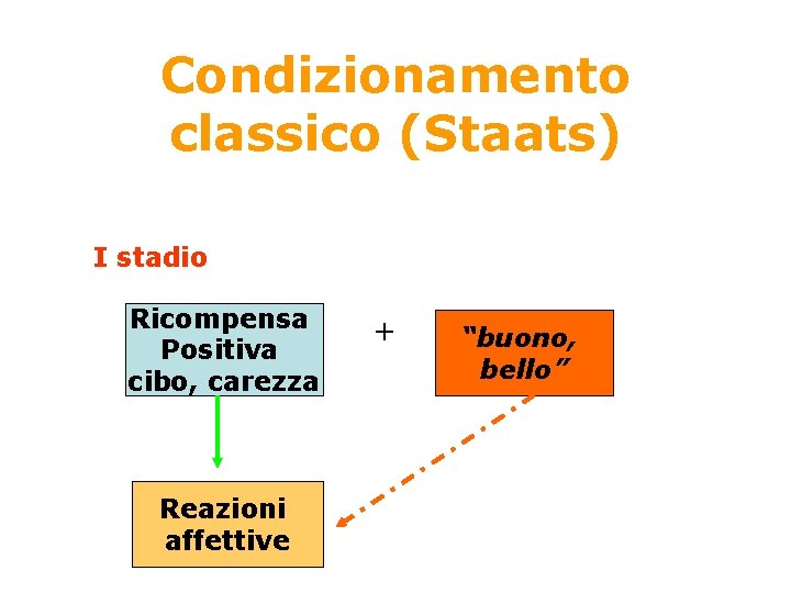 Condizionamento classico (Staats) • Processo a due stadi I stadio Ricompensa Positiva cibo, carezza