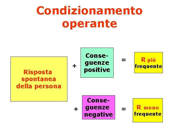 Condizionamento operante Risposta spontanea della persona + Conseguenze positive Conse+ guenze negative = =