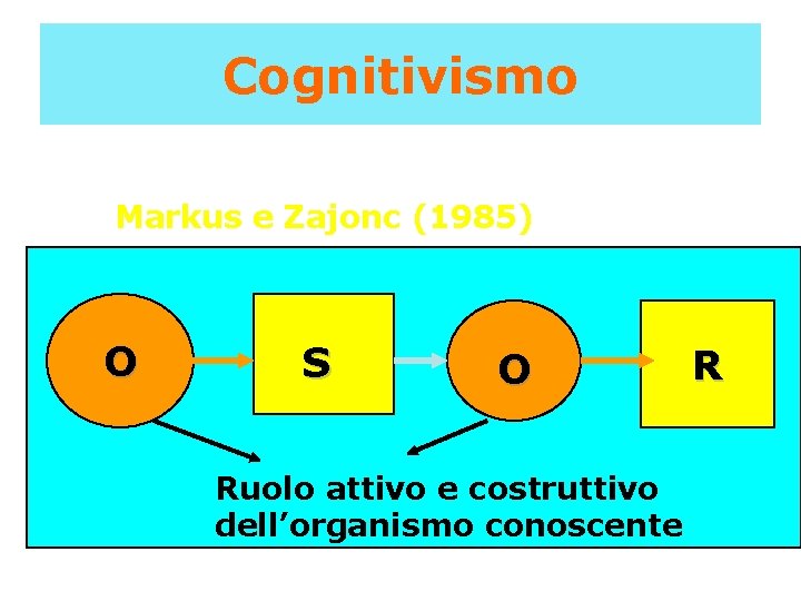 Cognitivismo Markus e Zajonc (1985) O S O Ruolo attivo e costruttivo dell’organismo conoscente