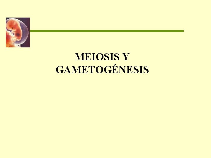 MEIOSIS Y GAMETOGÉNESIS 