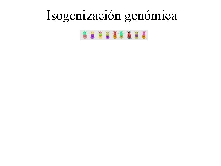 Isogenización genómica 