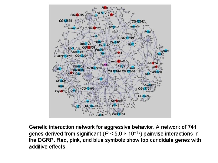 Genetic interaction network for aggressive behavior. A network of 741 genes derived from significant