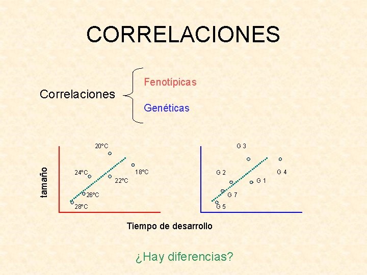 CORRELACIONES Fenotípicas Correlaciones Genéticas tamaño 20ºC G 3 18ºC 24ºC G 4 G 2