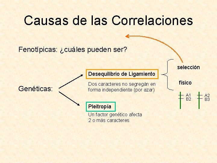 Causas de las Correlaciones Fenotípicas: ¿cuáles pueden ser? selección Desequilibrio de Ligamiento Genéticas: Dos