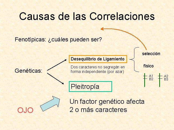 Causas de las Correlaciones Fenotípicas: ¿cuáles pueden ser? selección Desequilibrio de Ligamiento Genéticas: Dos