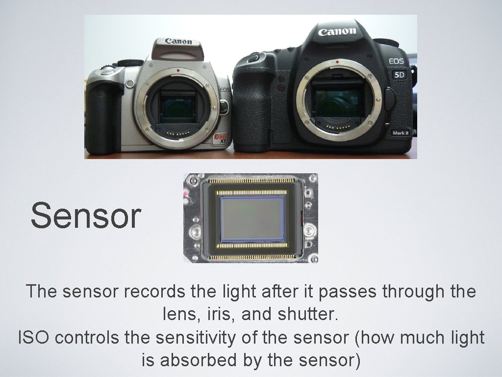 Sensor The sensor records the light after it passes through the lens, iris, and
