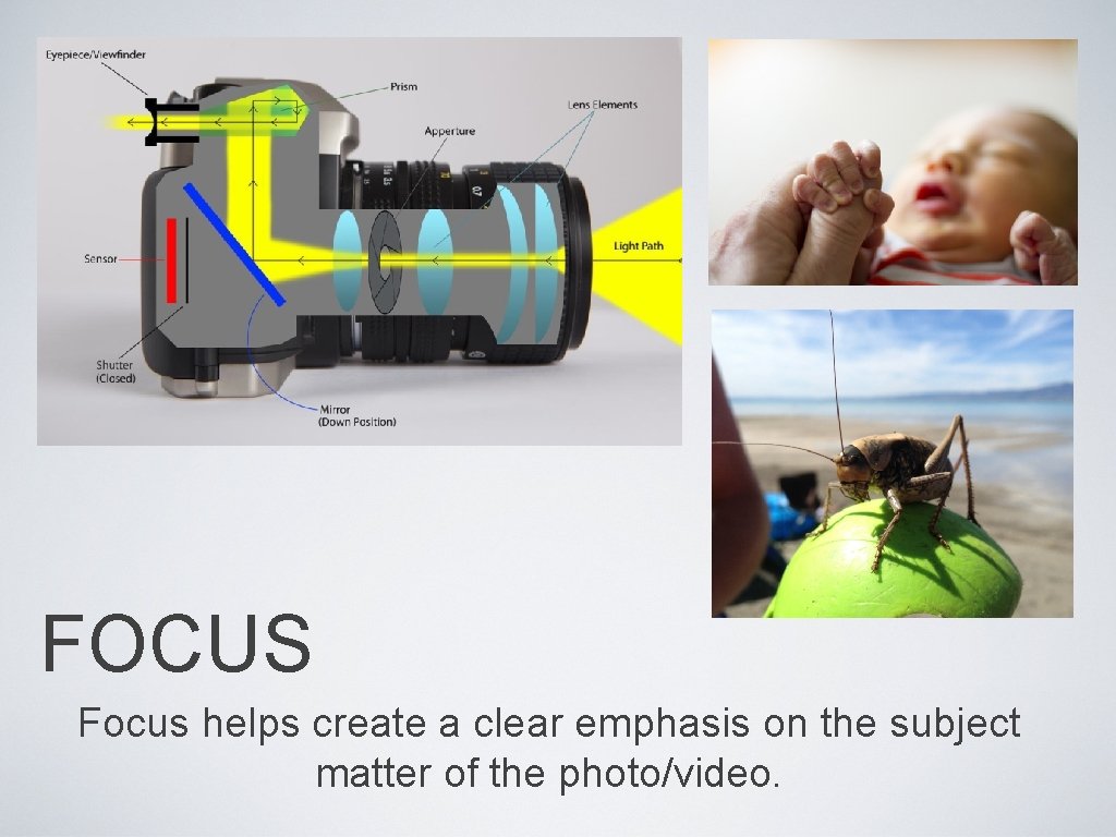 FOCUS Focus helps create a clear emphasis on the subject matter of the photo/video.