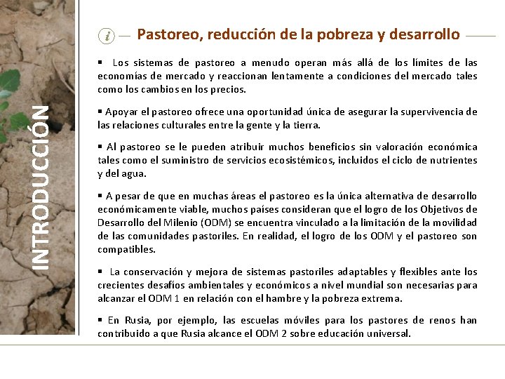 i Pastoreo, reducción de la pobreza y desarrollo INTRODUCCIÓN § Los sistemas de pastoreo