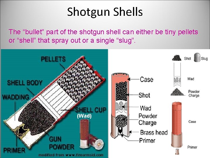 Shotgun Shells The “bullet” part of the shotgun shell can either be tiny pellets