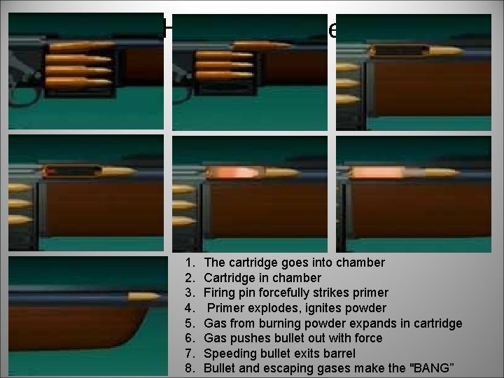 How Guns Fire 1. 2. 3. 4. 5. 6. 7. 8. The cartridge goes