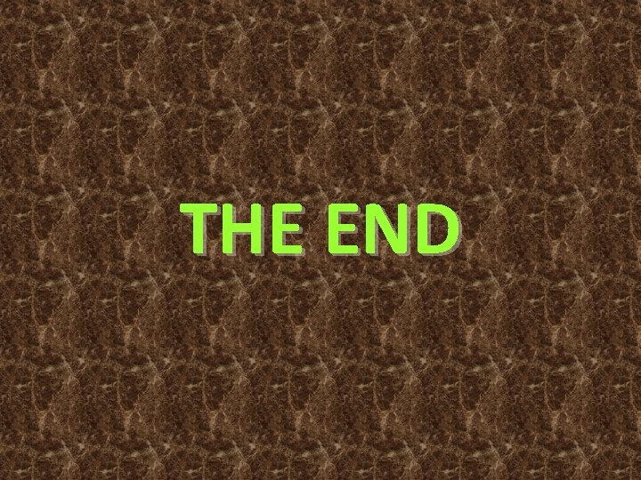 THE END 