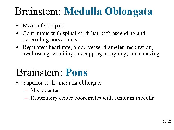 Brainstem: Medulla Oblongata • Most inferior part • Continuous with spinal cord; has both