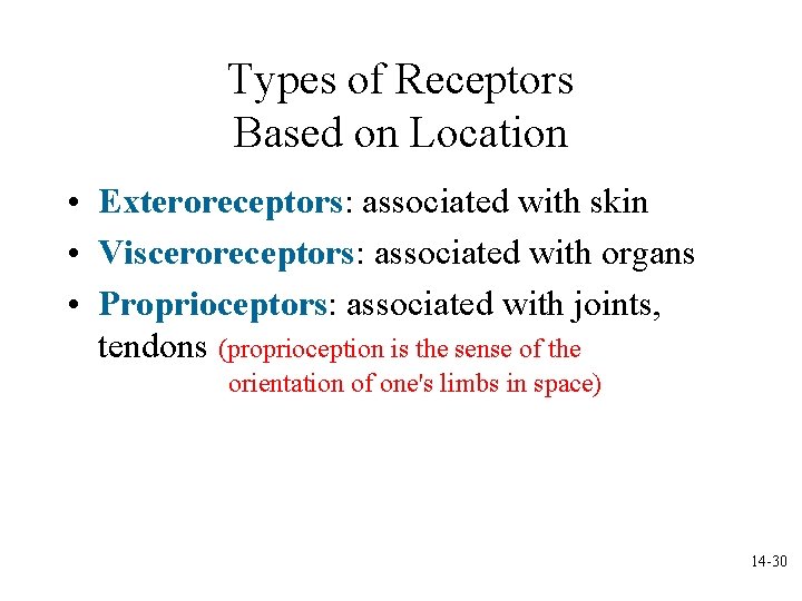 Types of Receptors Based on Location • Exteroreceptors: associated with skin • Visceroreceptors: associated