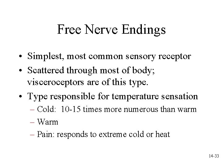 Free Nerve Endings • Simplest, most common sensory receptor • Scattered through most of