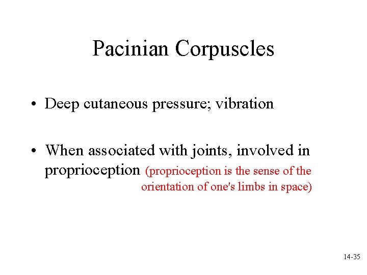 Pacinian Corpuscles • Deep cutaneous pressure; vibration • When associated with joints, involved in