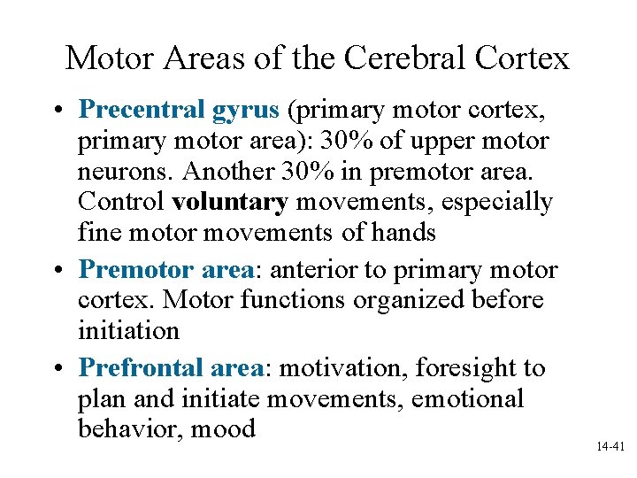 Motor Areas of the Cerebral Cortex • Precentral gyrus (primary motor cortex, primary motor