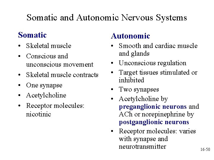 Somatic and Autonomic Nervous Systems Somatic Autonomic • Skeletal muscle • Conscious and unconscious