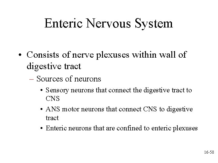 Enteric Nervous System • Consists of nerve plexuses within wall of digestive tract –