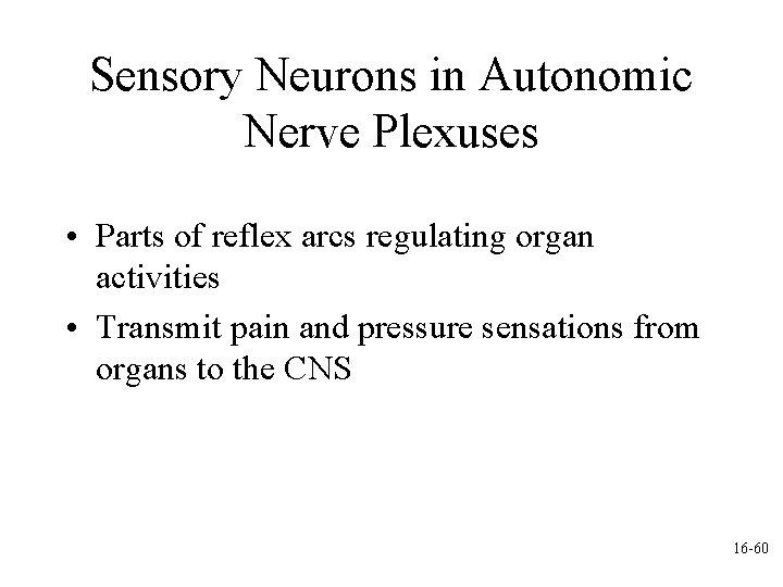 Sensory Neurons in Autonomic Nerve Plexuses • Parts of reflex arcs regulating organ activities