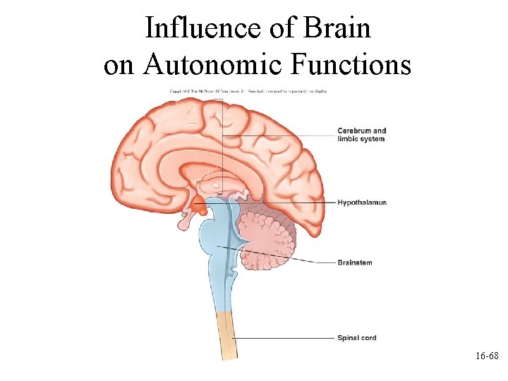 Influence of Brain on Autonomic Functions 16 -68 